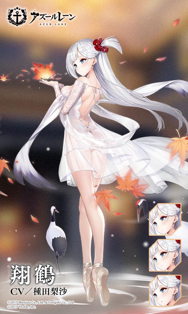 チャンピオン 【PSA10】 翔鶴 SR アズールレーン | bioport.com.tr